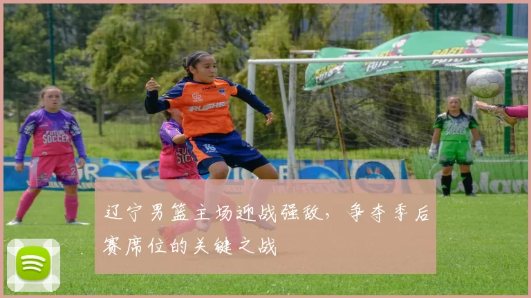 辽宁男篮主场迎战强敌，争夺季后赛席位的关键之战